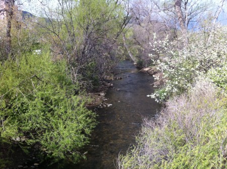 Boulder Creek in April