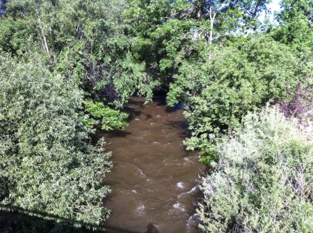 Boulder Creek in June